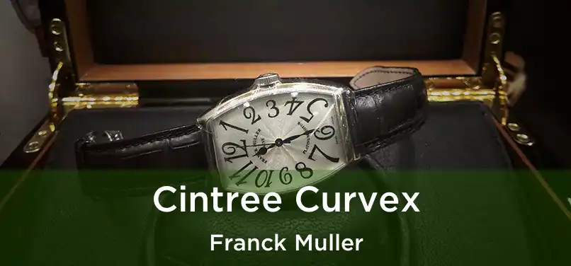  Cintree Curvex Franck Muller