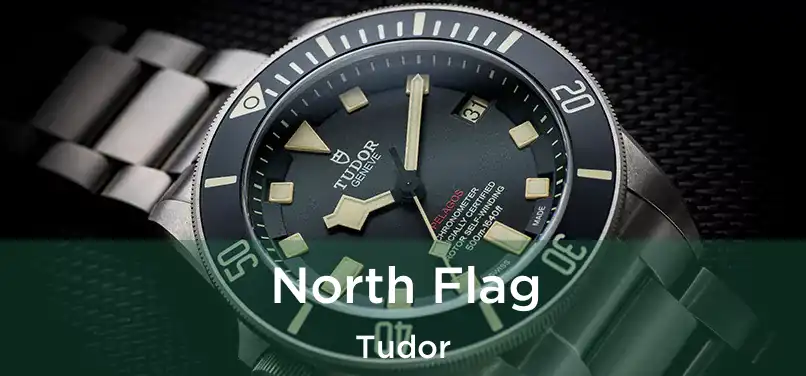  North Flag Tudor